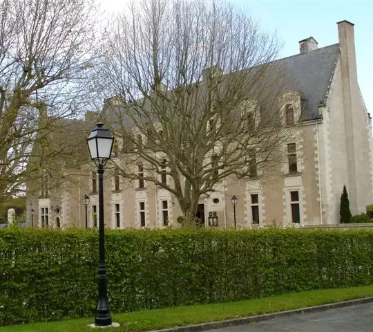 The castle
